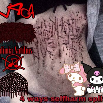 Bulimia Natilius / V404 / Вагинальный Карнаж / Poecilotheria - 4 Ways Selfharm Split (2026)
