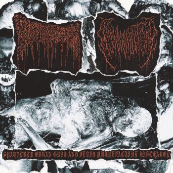 Nervous Body / Hemovorectomy - Spattered Organ Grit and Fetid Putrefactive Discharge (2026)
