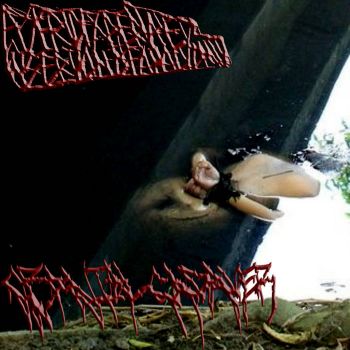 Putrid Extirpated Insertions of Anal Vomit / Cranial Cadaver - Split (2026)