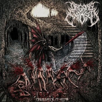 Organs Exposed - Obliteration of Flesh (2026)