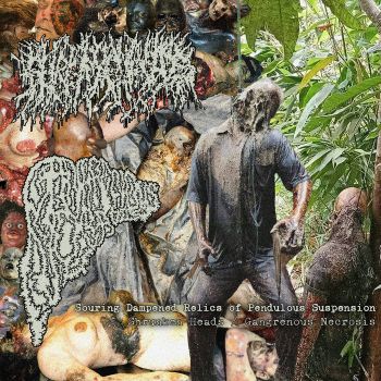 Shrunken Heads / - Gangrenous Necrosis (2026)
