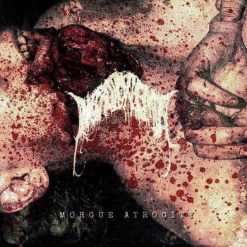 Necrotoxaemia - Morgue Atrocity (2026)