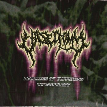 Vasectomy - Promo '26 (2026)