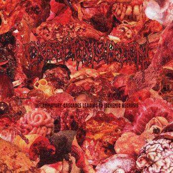 Overactivation - Inflammatory Cascades Leading to Ischemic Necrosis (2026)