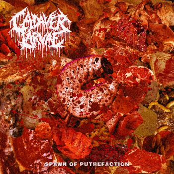 Cadaver Larvae - Spawn of Putrefaction (2026)
