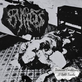 Bypass - Terminal Conditions//Split Tracks (2026)