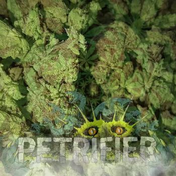 Petrifier - Petrifier (The Green Demo) (2026)
