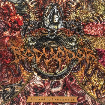 Body Odor - Trimethylaminuria (2026)
