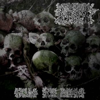 Newborn Stew - Ground into Pudding (2026)