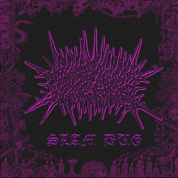 Slam Bug - Slam Bug (2026)