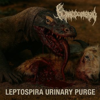 Komodonesia - Leptospira Urinary Purge (2025)
