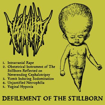Vaginality - Defilement of the Stillborn (2026)
