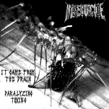 Insecticide - It Came from the Drain / Paralyzing Toxins (2026)