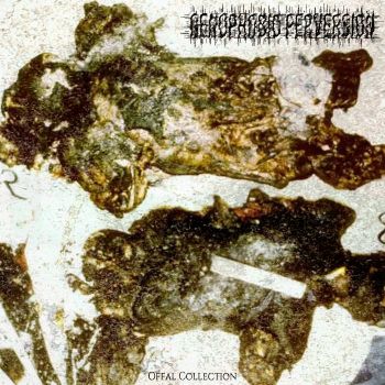 Genophobic Perversion - Offal Collection (2026)