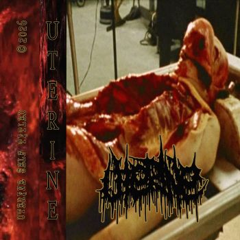 Uterine - Uterine (2026)