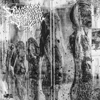 Delusional Violence - Jaw, Meet Fist (2026)