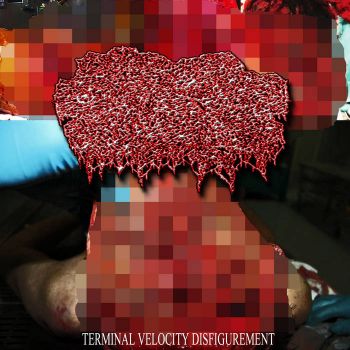 Expedited Decomposition - Terminal Velocity Disfigurement (2026)