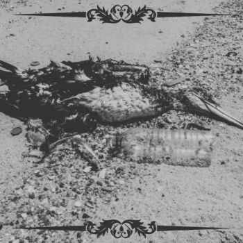 Grandma's Miscarriage - The Silver Hammer Ritual (2026)