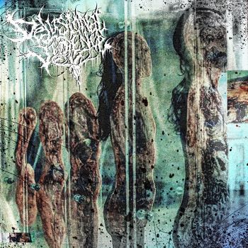Delusional Violence - Delusional Violence (2025)