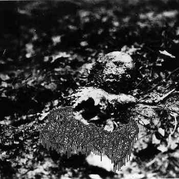 Cliterodectomy - Demo 2026 (2026)