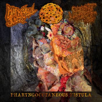 Black Bowel Juice / Pielmorrgaroth / Sentient Rot - Pharyngocutaneous Fistula (2026)