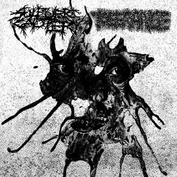 Sulfuric Cautery / Tolerance - Split (2026)