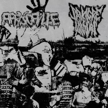 Arrogante / Sangre de Idiotas - Split (2026)