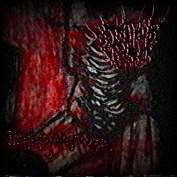 Sledgehammer FaceFuck - Dismembering Whores for Pleasure (2026)
