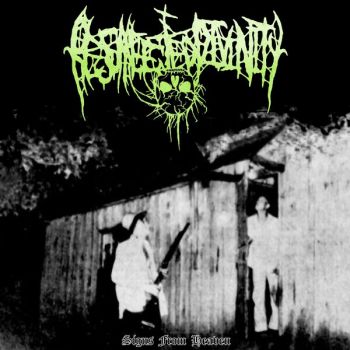 Resurrected Divinity - Signs from Heaven (2026)