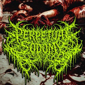 Perpetual Sodomy - Promo 2026 (2206)