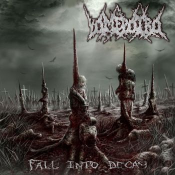 Vomepotro - Fall into Decay (2026)