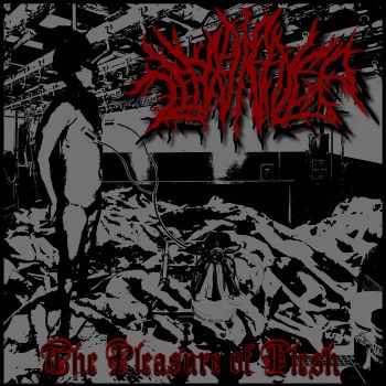 Lifestealer - The Pleasure of Flesh (2025)