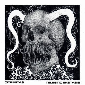 Citrinitas - Telesis Ekstasis (2026)