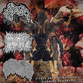 Xylazine Prophylactic / Mince'n'Weed / Filariasis Linfatica - Stench and Accumulation of Decomposing Corpses (2026)