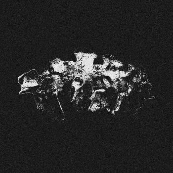 LMZ - Spinal (2026)