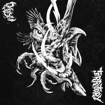 Aglo / Territory - Split (2026)