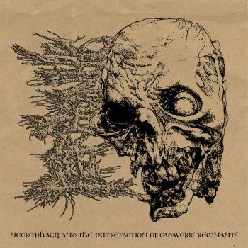Peritonitis - Necrophagy and the Putrefaction of Cadaveric Remnants (2026)