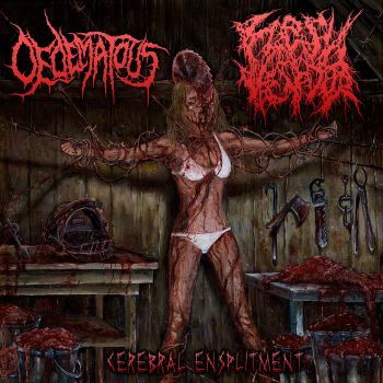 Oedematous / Flesh Vendor - Cerebral Ensplitment (2026)