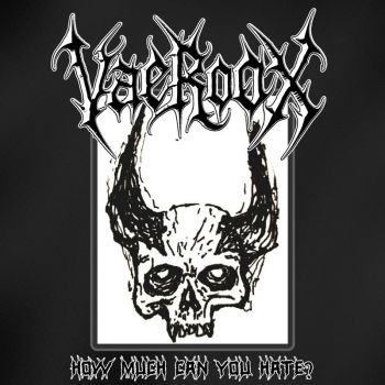 VaeRooX - How Much Can You Hate? (2026)