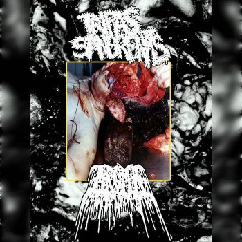 Tripas Sangrientas / Aroma - Split (2026)