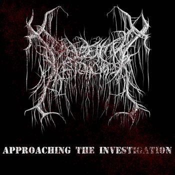 Diabetic Ketoacidosis - Approaching the Investigation (2026)