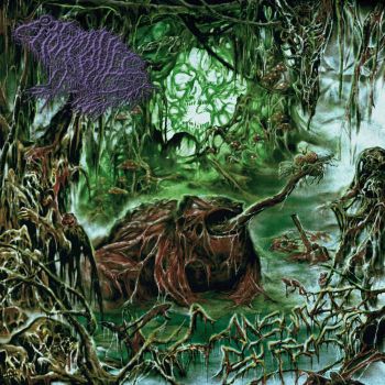 Frog Mallet - Consumed by Frogs (2026)