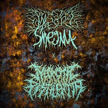 Infested Smegma / Necrotic Pestilentia - Split (2026)