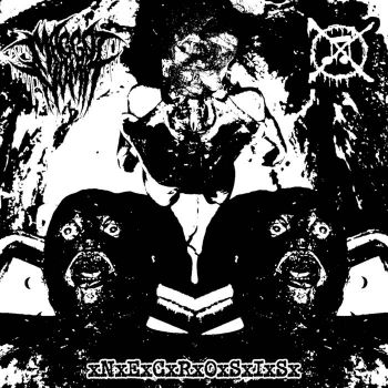 Maggot Vomit - xNxExCxRxOxSxIxSx (2026)