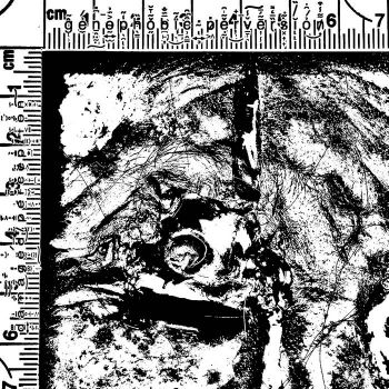 Genophobic Perversion - Damaged Perception (2026)