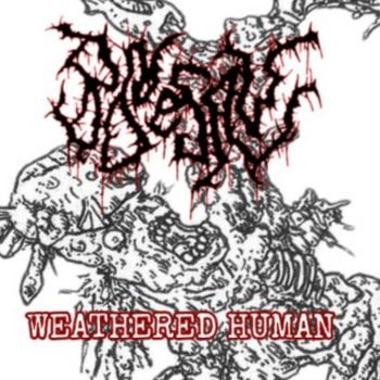 Bonesaw - Weathered Human (2026)