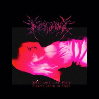 Methpink - Sweet Love Dies Where Flowers Learn to Bleed (2026)