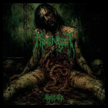 Open Gut - Split (2026)