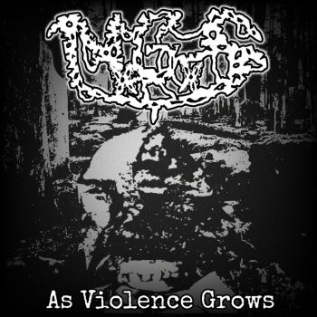 Noise Gore & Sex (NxGxS) - As Violence Grows (2026)
