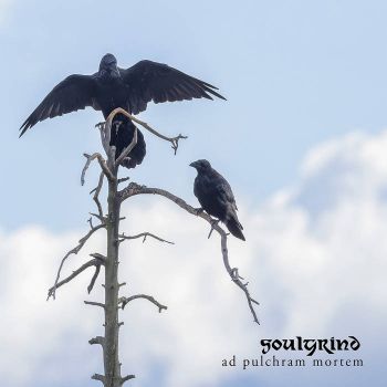 Soulgrind - Ad Pulchram Mortem (2026)